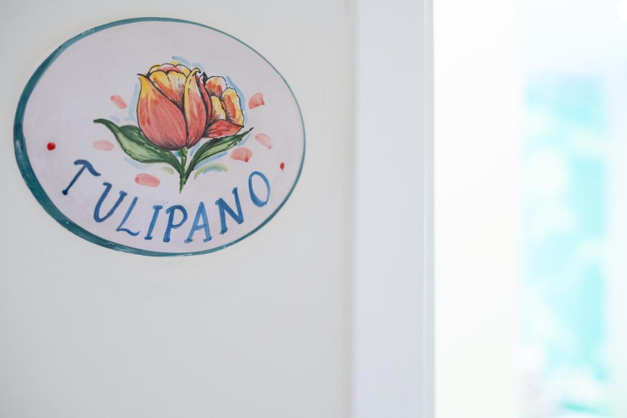 B&B L'Abbraccio Casola di Napoli 外观 照片